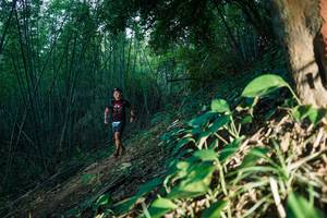 BIB: 
                            <button type="button" onclick="openModal(28124161)" class="btn btn-primary btn-sm float-right btn-popup" data-toggle="modal" data-target=".modal-high-quality">
                        <i class="fas fa-shopping-cart"></i> Add to Cart
                    </button>
                                            <button type="button" onclick="isThisMe(28124161, true)" class="btn btn-success btn-sm float-right btn-popup btn-isme hidden" data-toggle="tooltip" data-placement="bottom" title="นี่คือรูปของคุณใช่ไหม คลิกที่นี่เพื่อเอาเข้าอัลบั้ม">
                        <i class="fas fa-plus"></i> Add to album
                    </button>
                    <button type="button" onclick="isThisMe(28124161, false)" class="btn btn-warning btn-sm float-right btn-popup btn-isnotme hidden">
                        <i class="fas fa-ban"></i> Remove from album
                    </button>